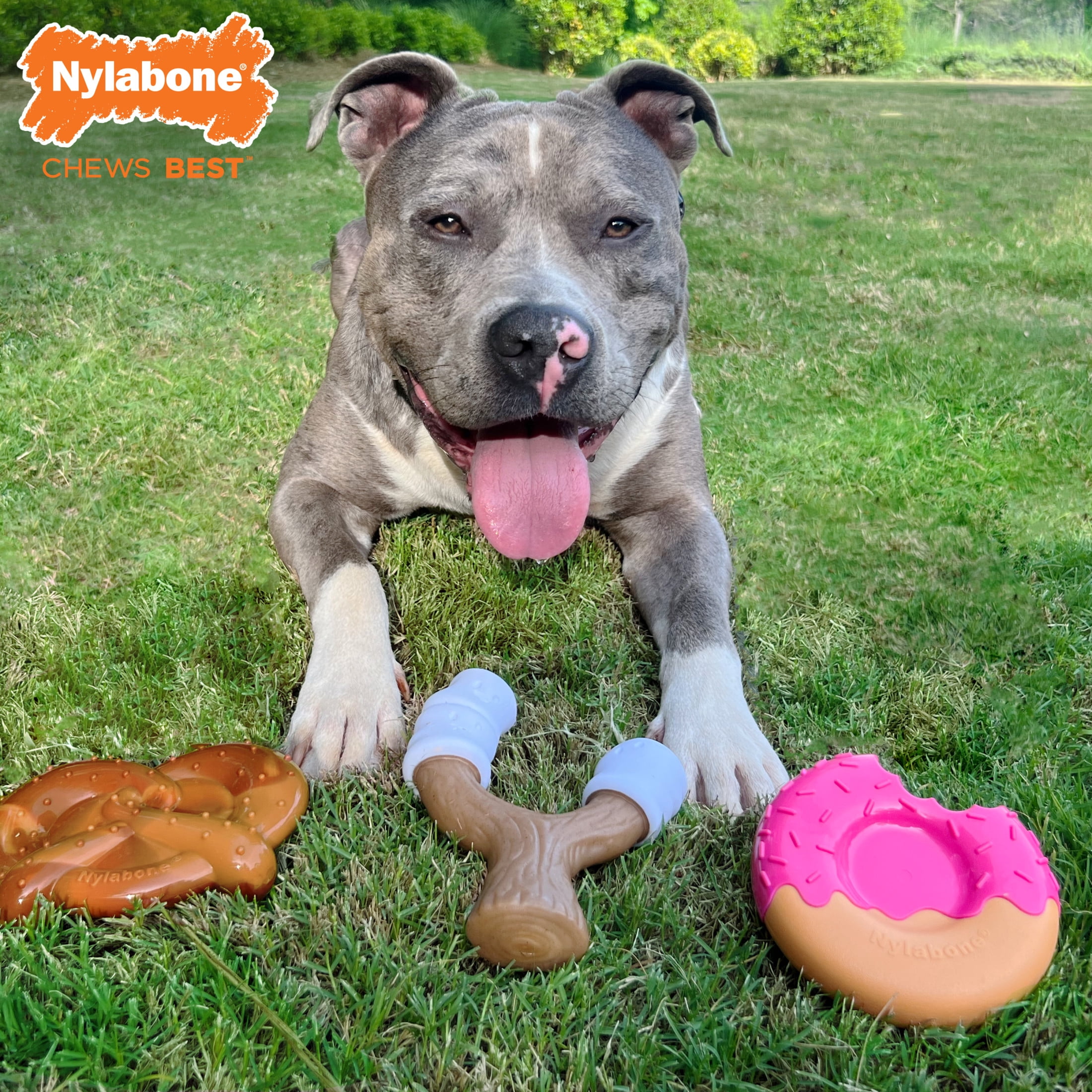Nylabone Power Chew Donut, Stick, & Pretzel Dog Toys, Dog Chew Toys, Large, 3 Pack