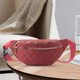 thumbnail image 5 of Riñonera de para mujer, bandolera multi riñonera, riñonera, riñonera para , pesca, deporte, teléfono móvil, monedero, Rojo DYNWAVEMX Paquete de cintura, 5 of 8