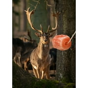 Realtree Himalayan Salt Lick Block Deer Attractant with Rope for Hanging, 4.4 lb Natural Pink Color