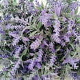 thumbnail image 1 of Baohd 4pcs/set Versatile Artificial Lavender With Realistic Appearance Indoor purple 1Set, 1 of 6