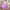 Purple, variant on Spazoro Kids Girls Dresses, New Style Short Sleeve Round Neck Solid Color Butterfly Princess Dress for Child Girls Blue Size 5 T