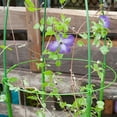 thumbnail image 2 of Sunnyglade 48 Plant Stakes Garden Tomato Sticks Plant Stakes & Supports for Potted Plants, 2 of 7