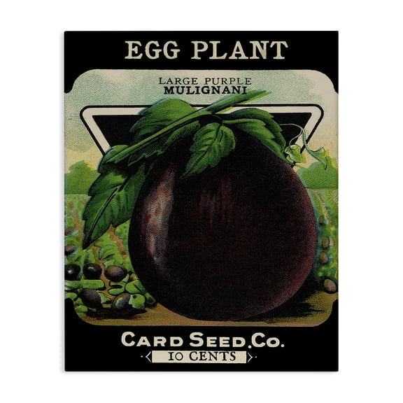 Stupell Industries Vintage Garden Eggplant Food & Beverage Painting Wrapped Canvas Canvas Art Print Wall Art, 16 x 20