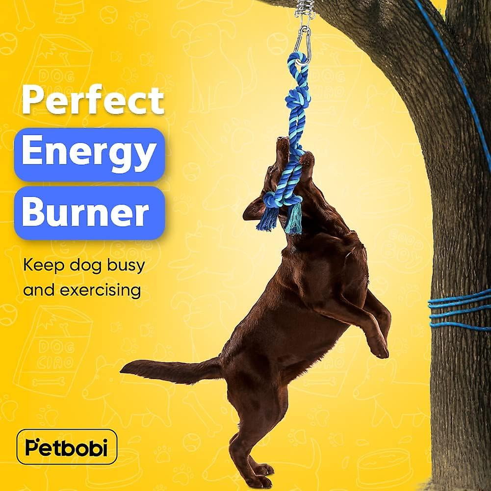 Petbobi Bungee Dog Toy Tree Tug Toy for Pitbull Interactive Exercise Spring Pole Tug of War Toy with Durable Rope Muscle Builder Outdoor Hanging G Need Black Blue Walmart