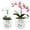 White - Cutout Leaf, variant on BUYMAX 5 6 inch White Ceramic Orchid Pot with Holes, Decorative Mushroom Cutout Planters with Saucers for Orchids