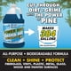 thumbnail image 3 of Boat Wash & Wax STAR BRITE Power Pine concentrado de 3,78 litros, 3 of 4