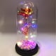 thumbnail image 1 of Xihbxyly Lámpara Led de Rosa, Diseño de Rosa Dorada Colorida, Cubierta de Cristal con Luces Centelleantes, Decoración Romántica, Regalo de San Valentín, Boda, Aniversario, Tamaño 22,5 X 11 X 9 Cm, 1 of 3