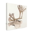 thumbnail image 2 of Trademark Fine Art 'Gilded Caribou' Canvas Art by Chris Paschke, 2 of 3