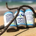 Pure Coconut Water Plant Based NonGMO No Added Sugar