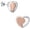 Rose Gold, variant on Cremation Jewelry Heart Urn Earring for Ashes for Women Men Stainless Steel Memorial Keepsake Earrings for Ashes Holder