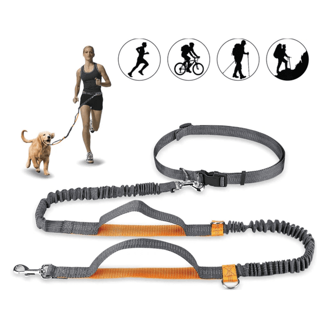Correa para perro manos libres, correa elástica ajustable para correr con costuras reflectantes para perros de hasta 110 kg