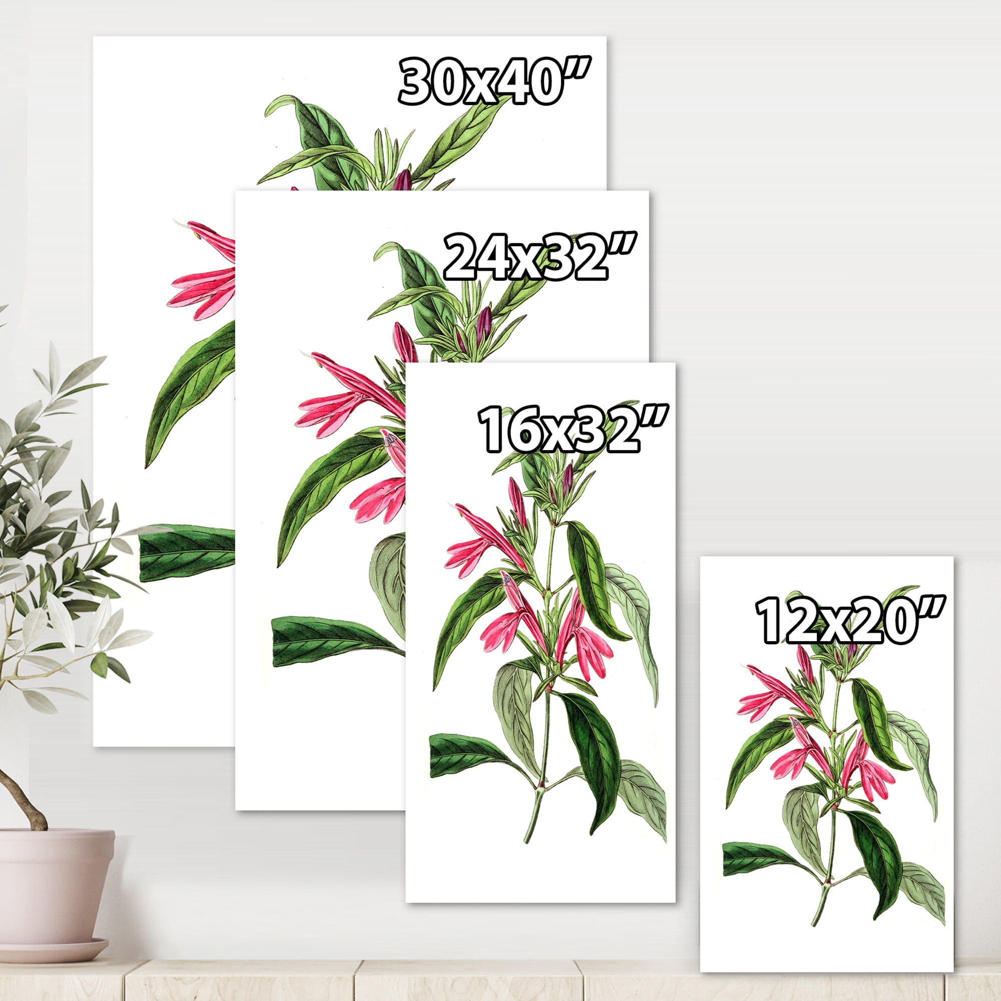 Designart ' Ancient American Flora VII ' Traditional Canvas Wall Art Print