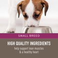 thumbnail image 3 of Original Small Breed Adult Dry Dog Food - Chicken & Brown Rice, 3 of 4