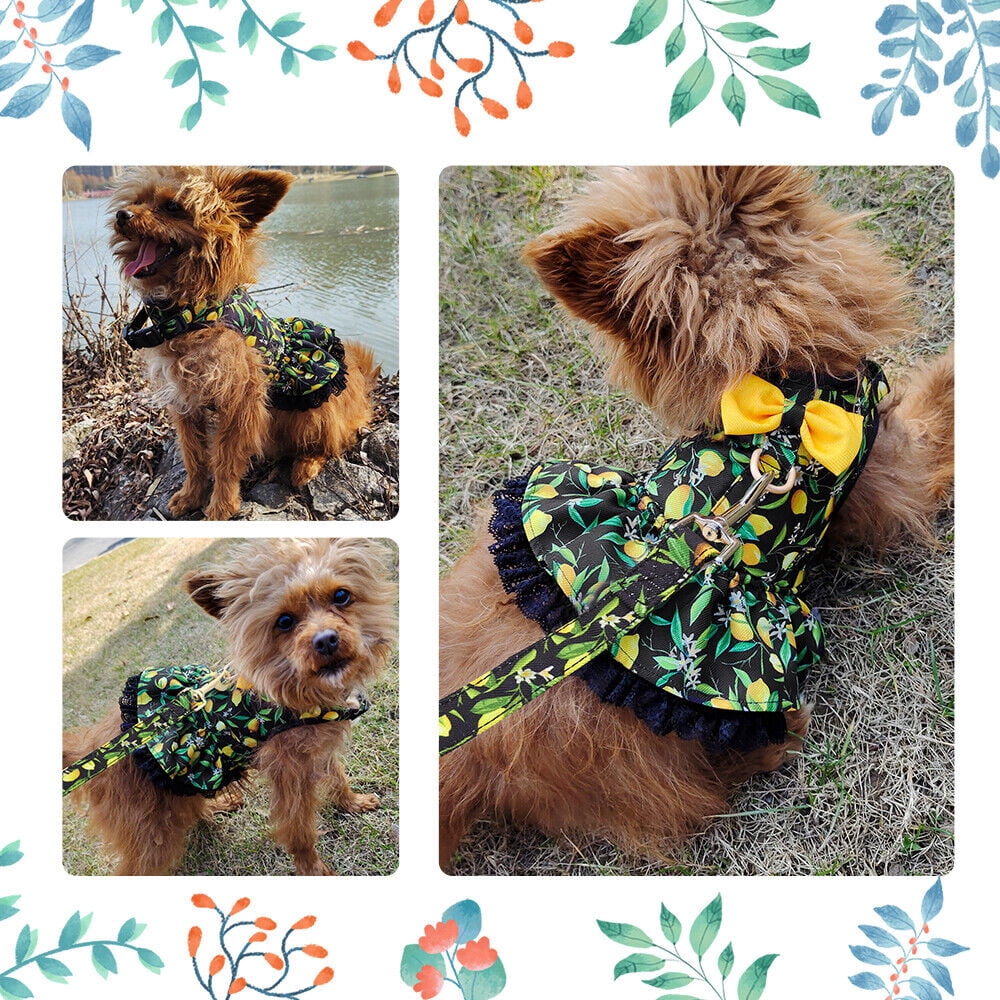 Didog Female Dog Harness Dress and Leash Fancy Small Pet Cat Summer Vest Clothes Yorkie