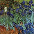 thumbnail image 2 of CafePress - VAN GOGH IRISES Infant Bodysuit - Baby Light Bodysuit, Size Newborn - 24 Months, 2 of 4
