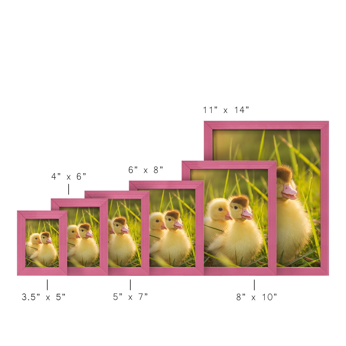 Grooved 3.5 in. x 5 in. Pink Picture Frame Set (Set of 4)