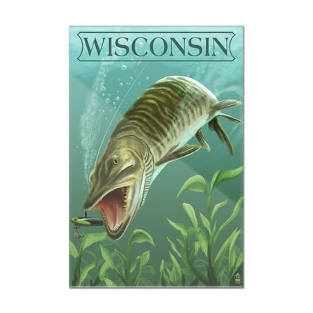 Wisconsin - Muskie - Lantern Press Artwork (8x12 Acrylic Wall Art Gallery