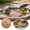 C, variant on Patio & Garden Bird Bath Purification Disc Pure Copper Decorative Hummingbird Print Water Cleaner Cleaning Disk for Outdoor Birdbaths and Garden Decor