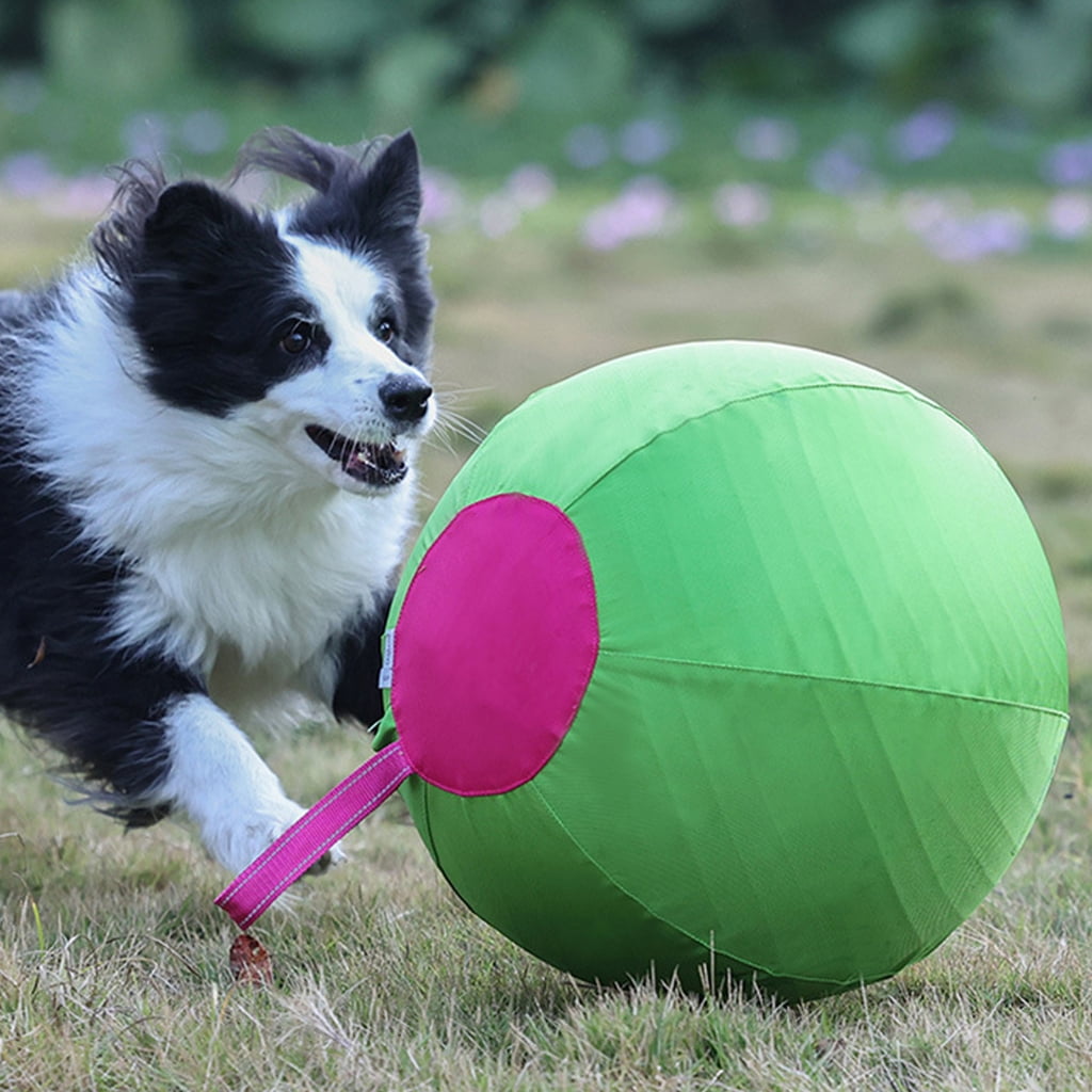 AOOOWER Dog Herding Ball for Shepherds, Corgis, Collies Interactive Bouncy Toy