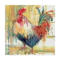 Trademark Fine Art 'Proud Plumage' Canvas Art by Annelein Beukenkamp