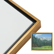 Creative Mark Illusions Floater Frame for 3/4 Inch Depth Stretched Canvas Paintings & Artwork - [Antique Gold - 5x7]