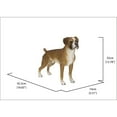 thumbnail image 3 of Hi-Line Gift Ltd. Boxer Dog Standing, 3 of 6
