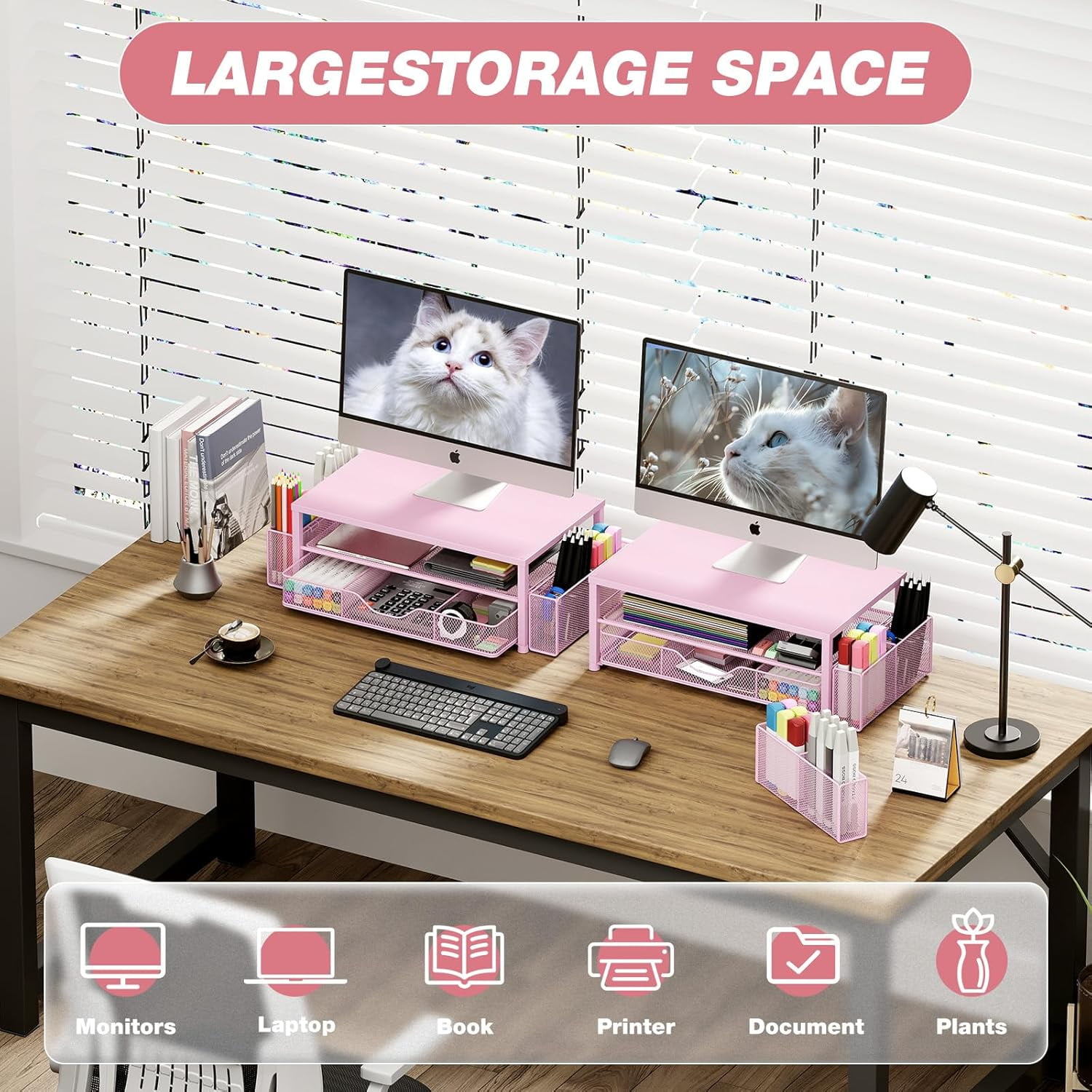 Desk Organizer and Accessories, 2-Tier Computer Monitor Stand with Drawer and 2 Pen Holders, Office Desk Accessories for Office Supplies