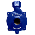 thumbnail image 1 of Bomba Eléctrica Para Agua Centrifuga 3/4 Hp Weg 28Mts 3530 RPM, 1 of 6