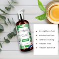 thumbnail image 2 of Acondicionador de ajo ISHA DNA - 32 onzas líquidas con queratina y extracto de ajo para cabello dañado y adelgazado - Detiene la pérdida de cabello y promueve el crecimiento - Acondicionamiento profun, 2 of 5