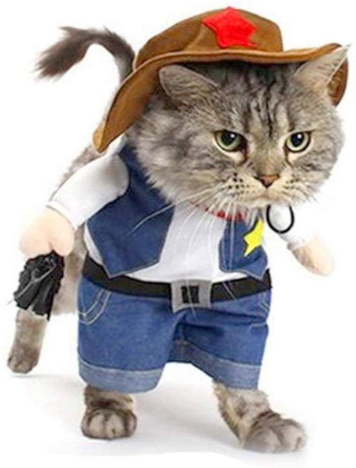 cat in the hat clothes