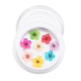 thumbnail image 4 of 3D Real Dry Acrílico Nail Decoración con caja 10 jinwen  Flor seca de uñas, 4 of 8