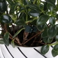 thumbnail image 3 of 100Pcs/Bag Garden Plant Support Clips Flower Orchid Stem Clips for Vine Sup HfWA, 3 of 10