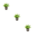 thumbnail image 4 of kurtrusly Realistic Artificial Succulent Low Maintenance Elegant Easy To Clean Artificial Money Tree In Pot blue babysbreath 3Set, 4 of 6