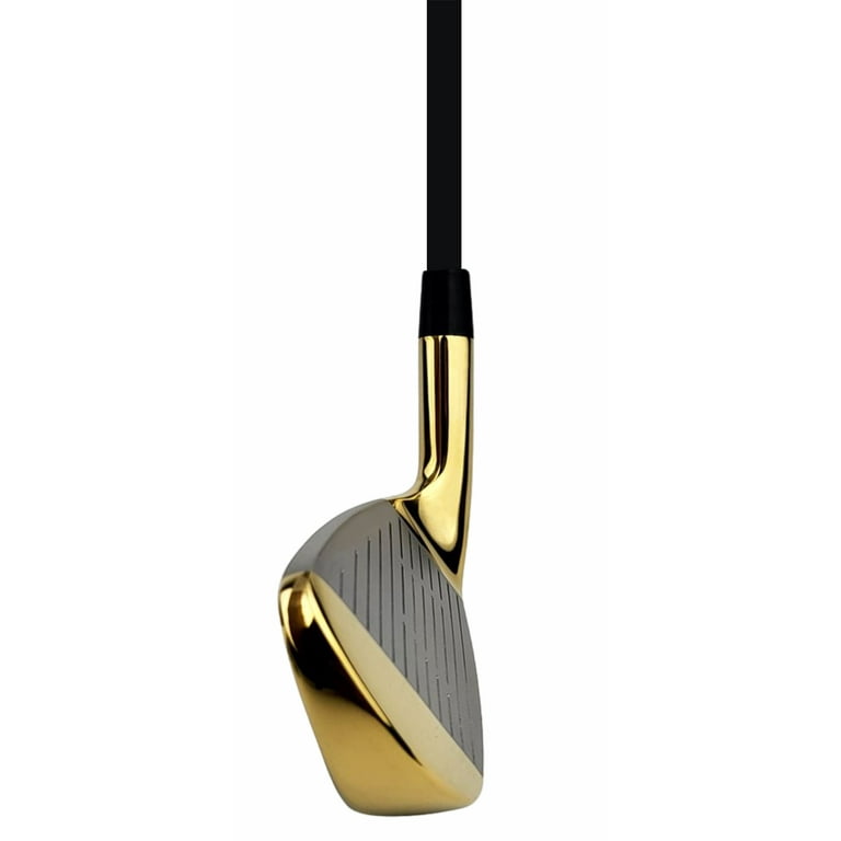 Pacific Golf Clubs Men's FLT-1 Gold Premium Iron Set #6-SW Senior