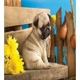thumbnail image 3 of Pug Duvet Cover Set, Puppy Photography with Sad Dog and Wildflowers on a Park Bench, Decorative 3 Piece Bedding Set with 2 Pillow Shams, Queen Size, Pale Brown Yellow Blue, by Ambesonne, 3 of 3