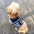 thumbnail image 3 of Pet Dog Clothes Soft Breathable Navy Style Leash Set for Small Medium Dogs Chihuahua Puppy Collar Cat Pet Dog Chest Strap Leash ShopWise Round, 3 of 10