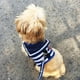 thumbnail image 3 of Pet Dog Clothes Soft Breathable Navy Style Leash Set for Small Medium Dogs Chihuahua Puppy Collar Cat Pet Dog Chest Strap Leash ShopWise Round, 3 of 10