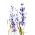 thumbnail image 2 of Talent, Kelley 26x31 Gold Ornate Wood Framed with Double Matting Museum Art Print Titled - Lavender Fields II, 2 of 4