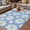 Blue, variant on Pink Daisy Outdoor Rug for Patio/Deck/Porch, Non-Slip Large Area Rug 3 x 5 Ft, Spring Floral Elegant Pastoral Botanical Indoor Outdoor Rugs Washable Area Rugs, Reversible Camping Rug Carpet Runner