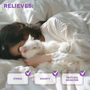 Calming Cat Diffuser Refill & Anti Anxiety Pet Products - Feline Calm Pheromones & Cats Comfort - Stress Relief Help with Pee, New Zone, Aggression, Fighting with Dogs & Behavior Control