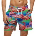 thumbnail image 1 of Bañador de aguacate para hombre, pantalones cortos cómodos para tabla de Surf, bañador de secado rápido, bañadores deportivos para vacaciones y playa Fivean unisex, 1 of 2
