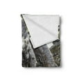 thumbnail image 2 of Tree Soft Flannel Fleece Throw Blanket, Historic Landmark Giant Tree at Angkor Wat Cambodia, Cozy Plush for Indoor and Outdoor Use, 60" x 80", Dimgray Dark Taupe, by Ambesonne, 2 of 5