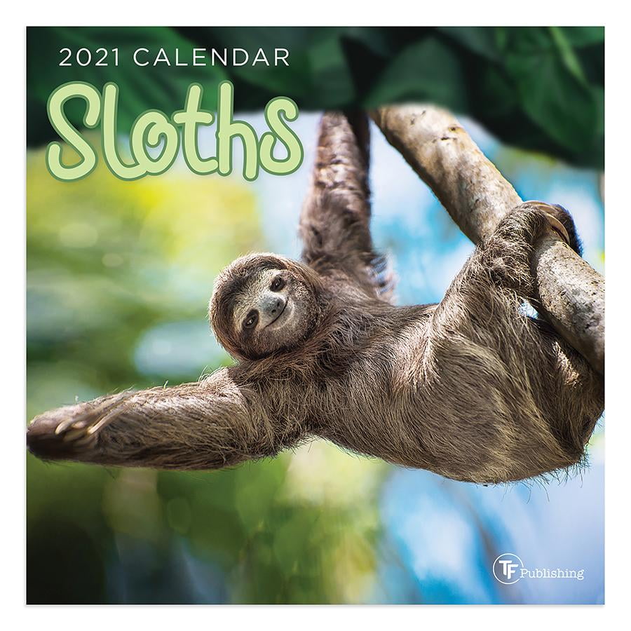 2021 Sloths Mini 7"x7" Calendar