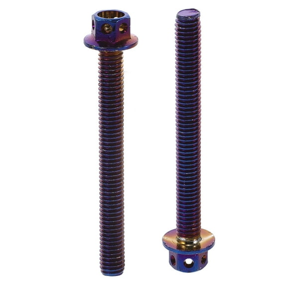 WHAMVOX 2pcs Electric Motorcycle License Plate Long Screws Quick Installation Screws For Motorcycles And Electric Bikes License Plate