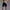 Black, variant on Mens Athletic Shorts Qiggri Men Casual Fashion Solid Shorts With Pocket Elastic Waist Shoort Pants