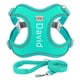 thumbnail image 1 of Personalized Dog Harness Leash Set Reflective Dogs Vest Harness Pet Walking Lead Rope Free Print Pets Name Dog Cat Pattern 2XS-L ShopWise Round, 1 of 12