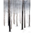 thumbnail image 2 of Popp, Grace 15x18 Black Ornate Wood Framed with Double Matting Museum Art Print Titled - Hazy Winter Walk I, 2 of 4