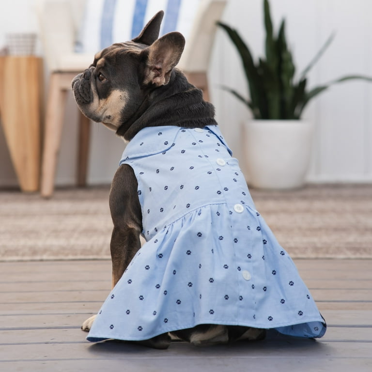 Gap chambray cheap dress