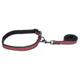 thumbnail image 4 of Pet Dog Collar Traction Rope Set,Pet Dog Reflective Webbing Pet Dog Traction Rope Pet Supply Exceptional Craftsmanship, 4 of 8
