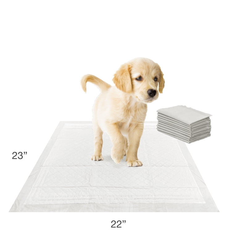 Four Paws Wee-Wee Insta-Rise Border Potty Training Pads, 10ct photo 7